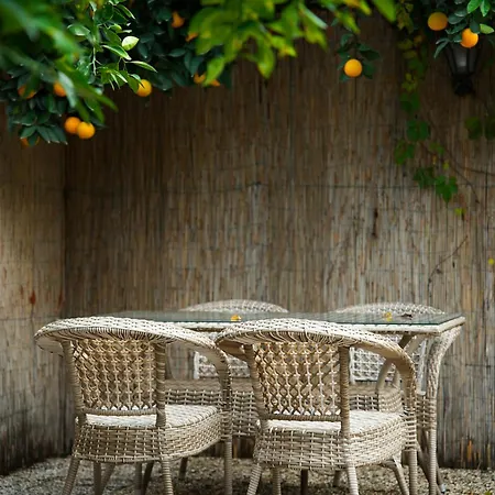 Collesium Garden Antalya