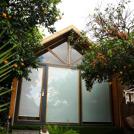 Aparthotel Collesium Garden