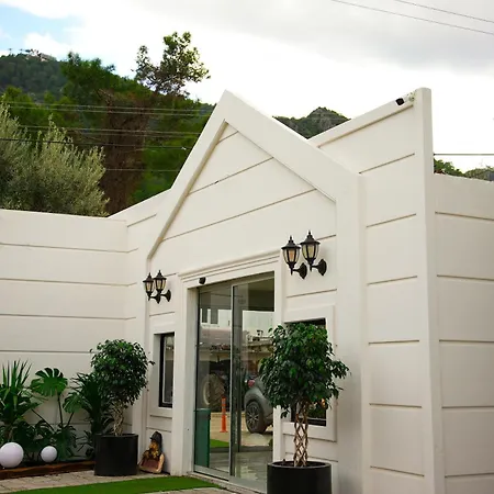 Collesium Garden *