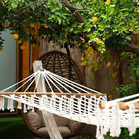 Aparthotel Collesium Garden Antalya