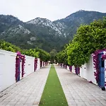 Collesium Garden