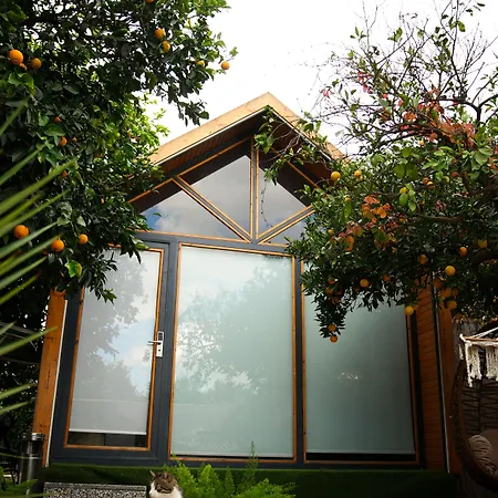 Collesium Garden