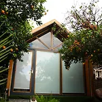 Collesium Garden